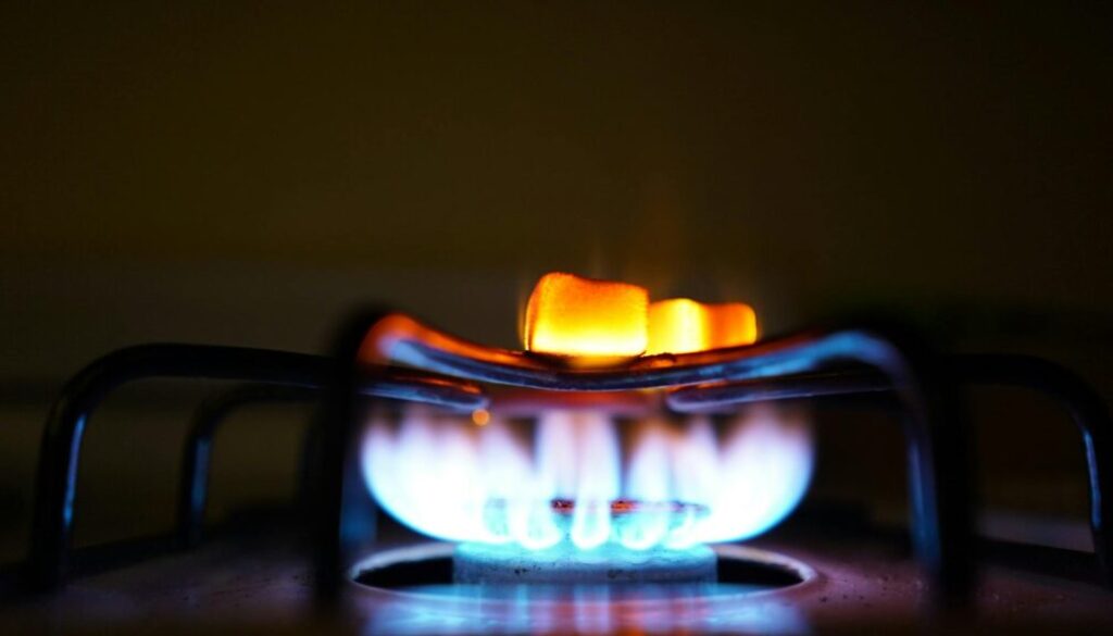 fuel
